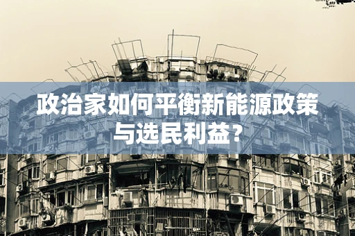政治家如何平衡新能源政策与选民利益？