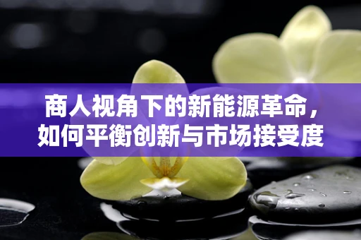 商人视角下的新能源革命，如何平衡创新与市场接受度？