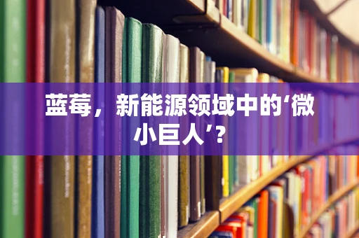 蓝莓，新能源领域中的‘微小巨人’？