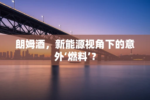 朗姆酒，新能源视角下的意外‘燃料’？