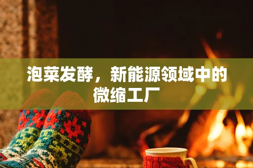 泡菜发酵，新能源领域中的微缩工厂