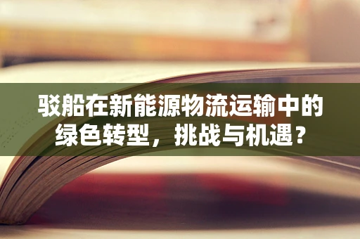 驳船在新能源物流运输中的绿色转型，挑战与机遇？