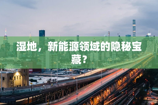 湿地，新能源领域的隐秘宝藏？