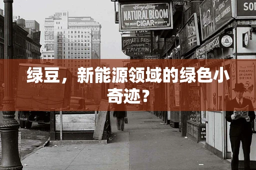 绿豆，新能源领域的绿色小奇迹？