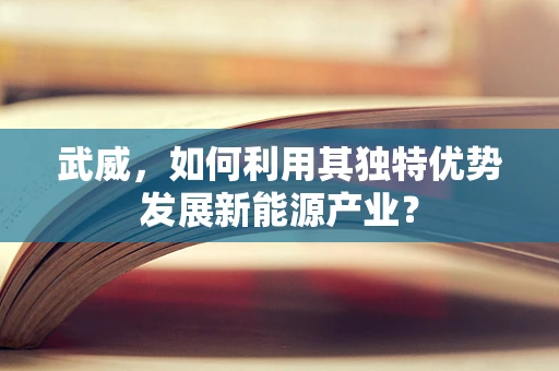 武威，如何利用其独特优势发展新能源产业？