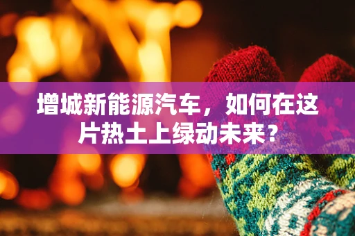 增城新能源汽车，如何在这片热土上绿动未来？