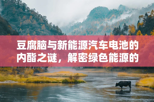豆腐脑与新能源汽车电池的内酯之谜，解密绿色能源的隐形纽带