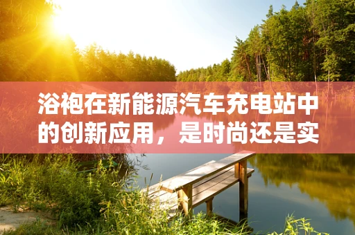 浴袍在新能源汽车充电站中的创新应用，是时尚还是实用？