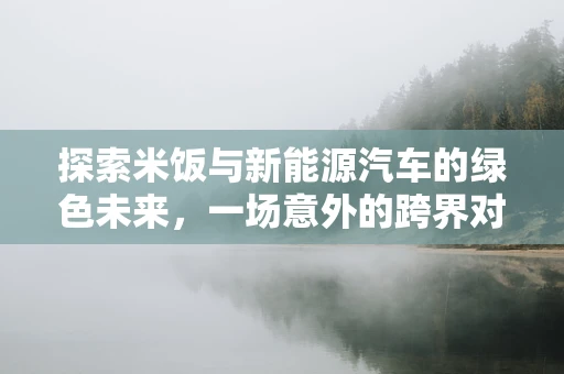 探索米饭与新能源汽车的绿色未来，一场意外的跨界对话