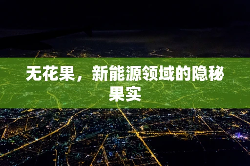 无花果，新能源领域的隐秘果实