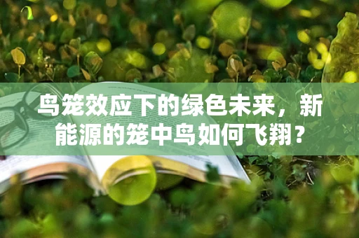 鸟笼效应下的绿色未来，新能源的笼中鸟如何飞翔？