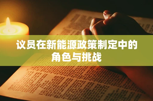 议员在新能源政策制定中的角色与挑战