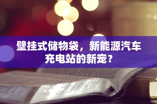 壁挂式储物袋，新能源汽车充电站的新宠？