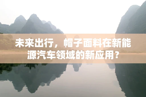 未来出行，帽子面料在新能源汽车领域的新应用？