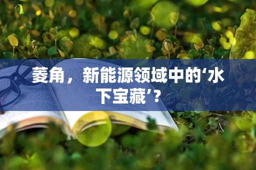菱角，新能源领域中的‘水下宝藏’？