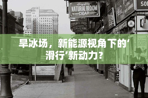 旱冰场，新能源视角下的‘滑行’新动力？