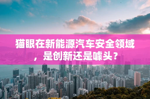 猫眼在新能源汽车安全领域，是创新还是噱头？