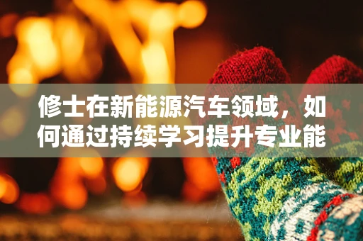 修士在新能源汽车领域，如何通过持续学习提升专业能力？