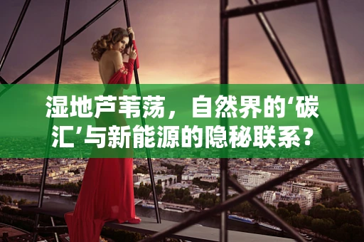 湿地芦苇荡，自然界的‘碳汇’与新能源的隐秘联系？