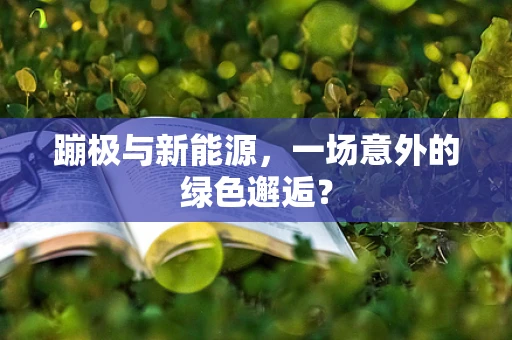 蹦极与新能源，一场意外的绿色邂逅？