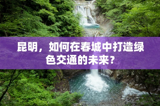 昆明，如何在春城中打造绿色交通的未来？