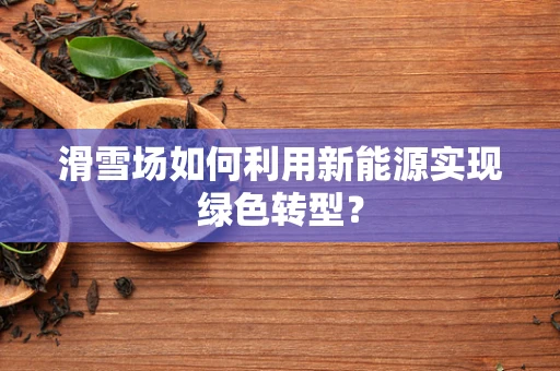 滑雪场如何利用新能源实现绿色转型？
