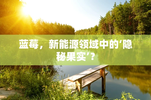 蓝莓，新能源领域中的‘隐秘果实’？