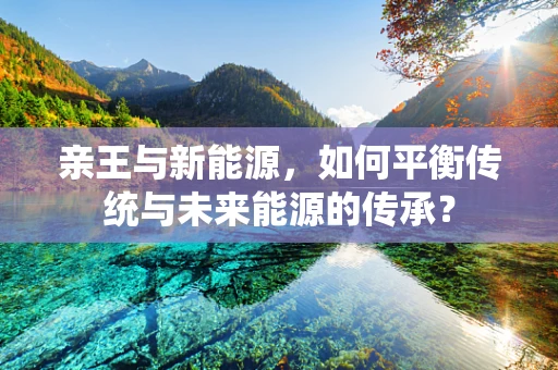 亲王与新能源，如何平衡传统与未来能源的传承？