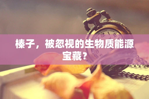 榛子，被忽视的生物质能源宝藏？