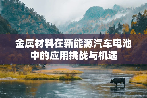 金属材料在新能源汽车电池中的应用挑战与机遇