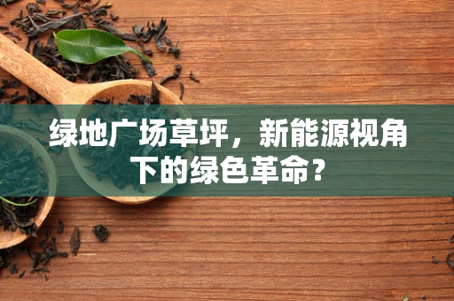 绿地广场草坪，新能源视角下的绿色革命？