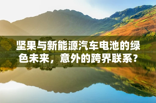 坚果与新能源汽车电池的绿色未来，意外的跨界联系？