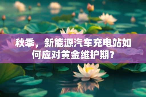 秋季，新能源汽车充电站如何应对黄金维护期？