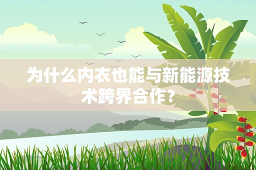 为什么内衣也能与新能源技术跨界合作？