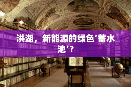 洪湖，新能源的绿色‘蓄水池’？