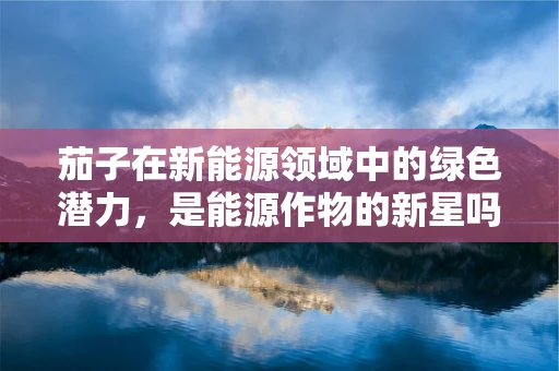 茄子在新能源领域中的绿色潜力，是能源作物的新星吗？