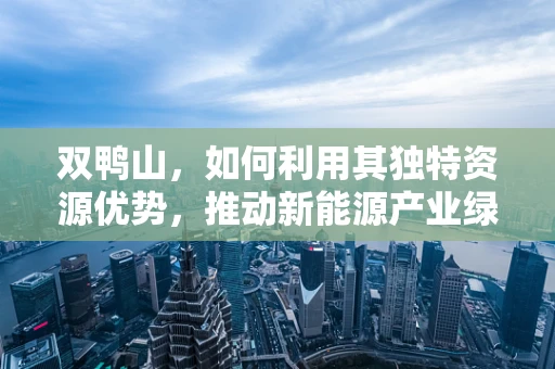 双鸭山，如何利用其独特资源优势，推动新能源产业绿色发展？