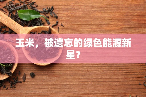 玉米，被遗忘的绿色能源新星？