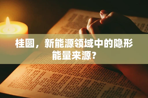 桂圆，新能源领域中的隐形能量来源？