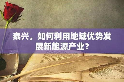 泰兴，如何利用地域优势发展新能源产业？