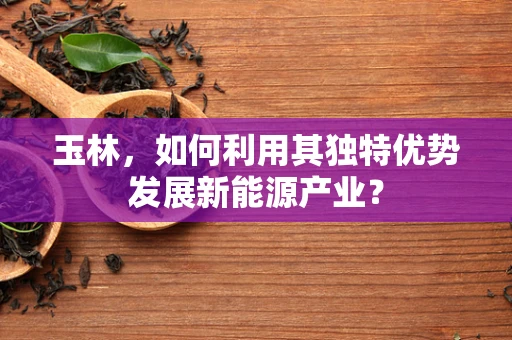 玉林，如何利用其独特优势发展新能源产业？