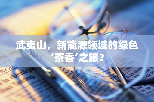 武夷山，新能源领域的绿色‘茶香’之旅？