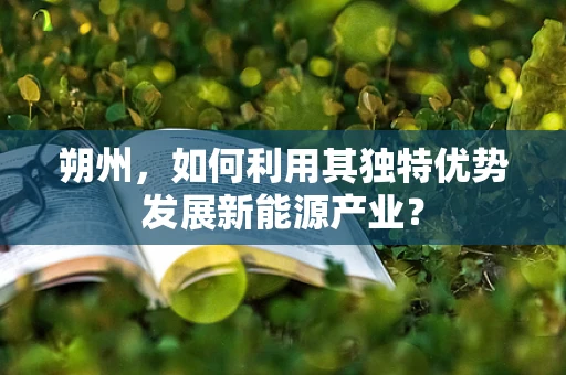 朔州，如何利用其独特优势发展新能源产业？