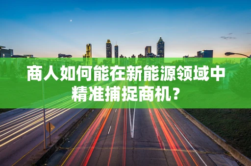 商人如何能在新能源领域中精准捕捉商机？