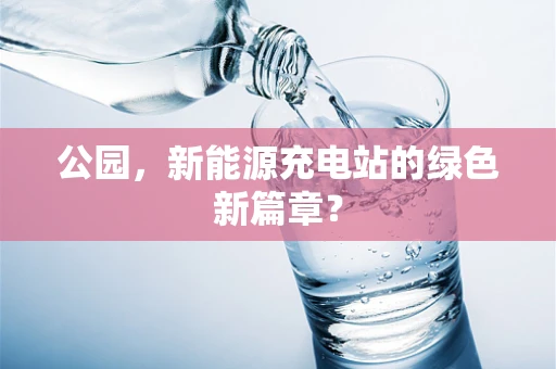 公园，新能源充电站的绿色新篇章？