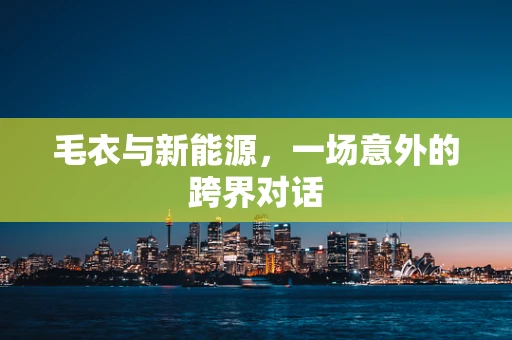 毛衣与新能源，一场意外的跨界对话