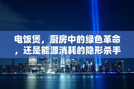 电饭煲，厨房中的绿色革命，还是能源消耗的隐形杀手？
