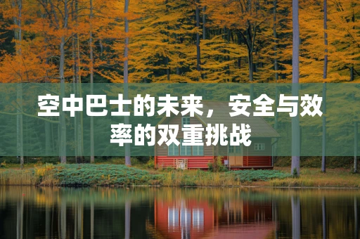 空中巴士的未来，安全与效率的双重挑战