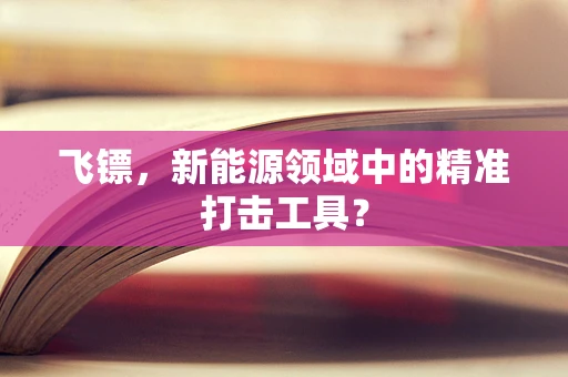 飞镖，新能源领域中的精准打击工具？