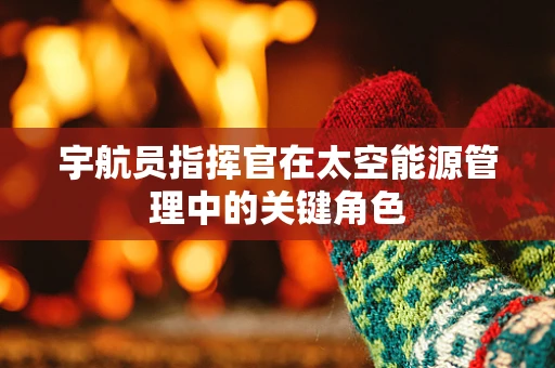 宇航员指挥官在太空能源管理中的关键角色